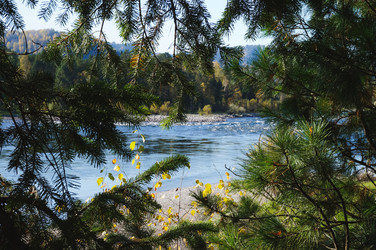 Similar image 21500824