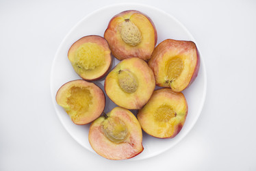 Similar image 21500840