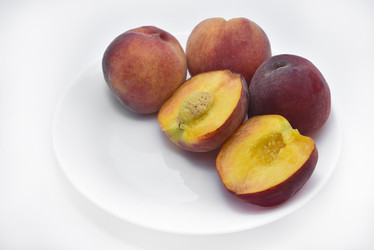 Similar image 21500841