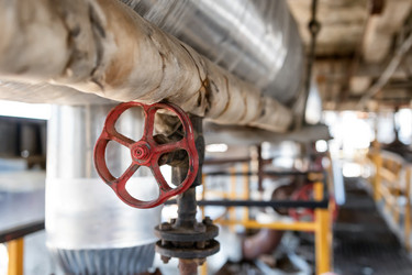 Similar image 21501139