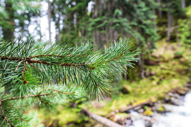 Similar image 21501026