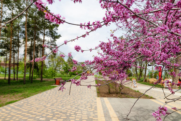 Similar image 21501027