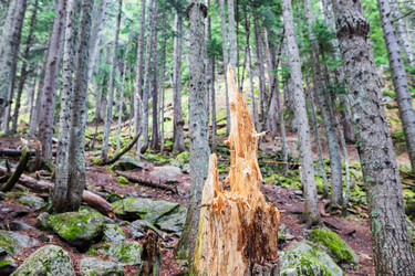 Similar image 21501028