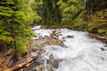 Similar image 21501032