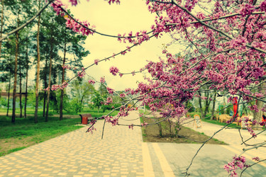 Similar image 21501033