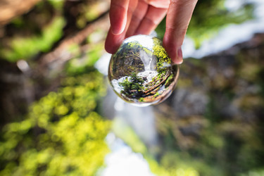 Similar image 21501038