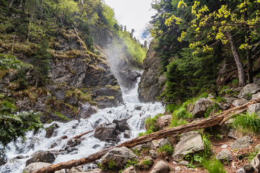 Similar image 21501046