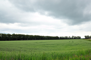 Similar image 21501869