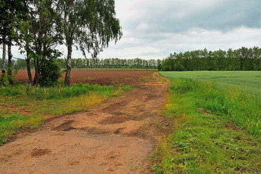 Similar image 21501870