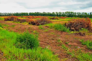 Similar image 21501871