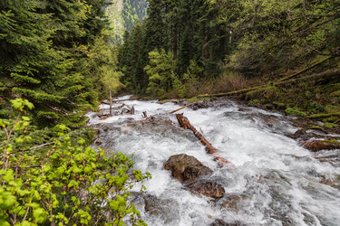 Similar image 21501183