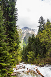 Similar image 21501185