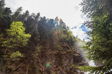 Similar image 21501187