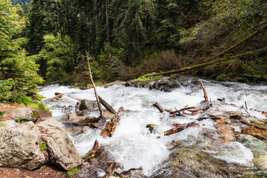 Similar image 21501192