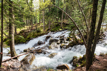 Similar image 21501194