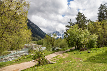 Similar image 21501201