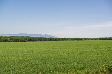 Similar image 21501886