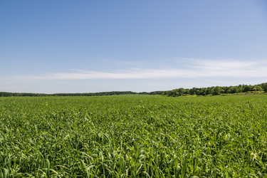 Similar image 21501887