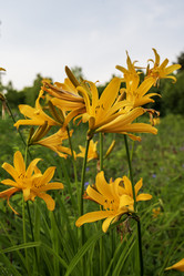 Similar image 21501939