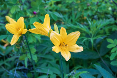 Similar image 21501940