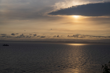 Similar image 21501941