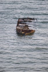 Similar image 21501942