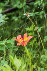 Similar image 21501946