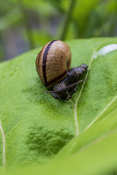 Similar image 21501947