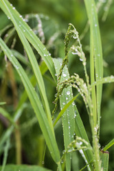 Similar image 21501950