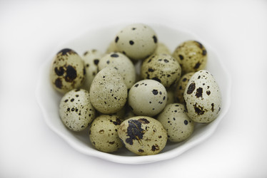 Similar image 21502110