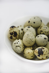 Similar image 21502111