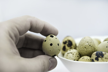 Similar image 21502115