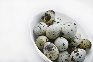 Similar image 21502119