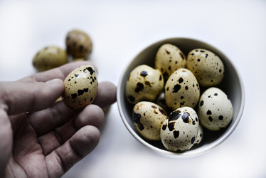 Similar image 21502124