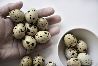 Similar image 21502126