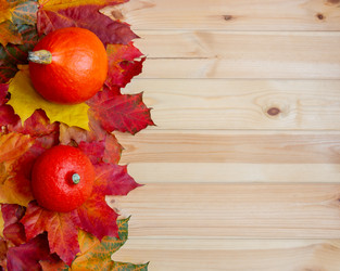 Similar image 21502156