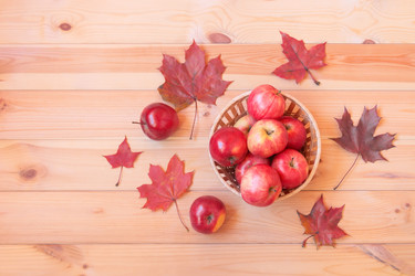 Similar image 21502157