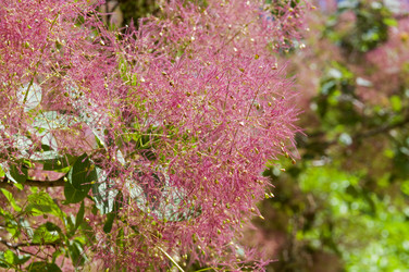 Similar image 21501888