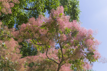 Similar image 21501889