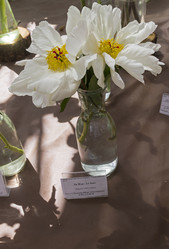 Similar image 21501891