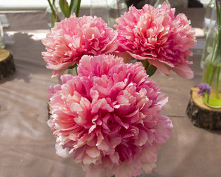 Similar image 21501892