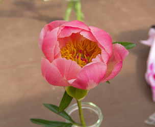 Similar image 21501893