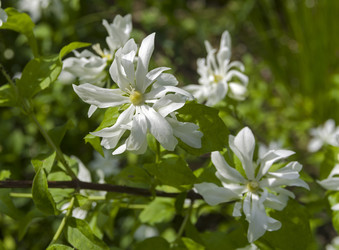 Similar image 21501896