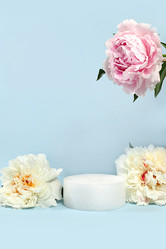 Similar image 21501897