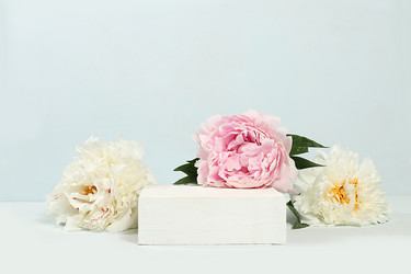 Similar image 21501899