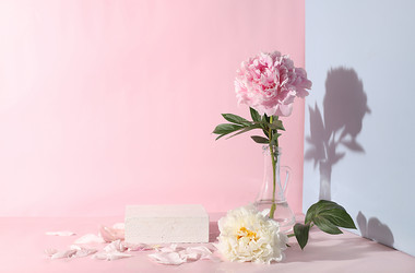 Similar image 21501902