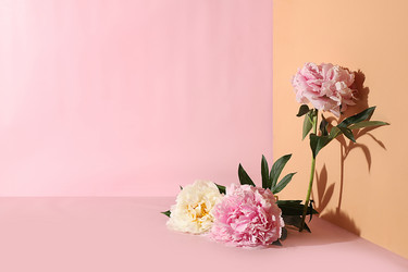 Similar image 21501903