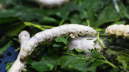 Similar image 21501908