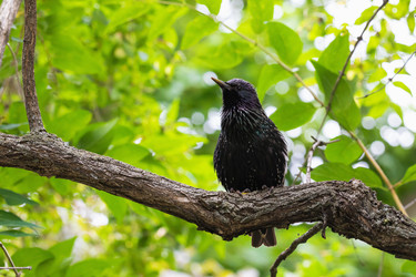 Similar image 21501911