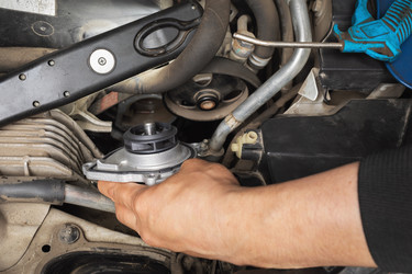 Similar image 21501915